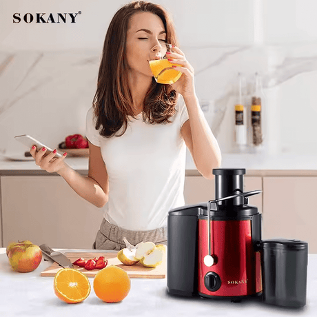 عصارة سوكاني 800 وات موديل SK-4001